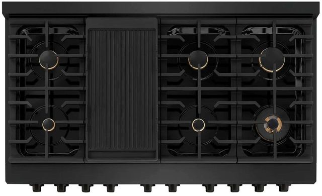 ZLINE Paramount 48" Black Stainless Steel Pro Style Dual Fuel Range-3