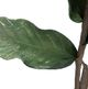 A & B Home Green Artificial Artichoke Stem-3