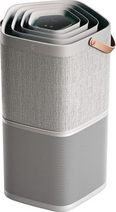 Electrolux Gray Air Purifier