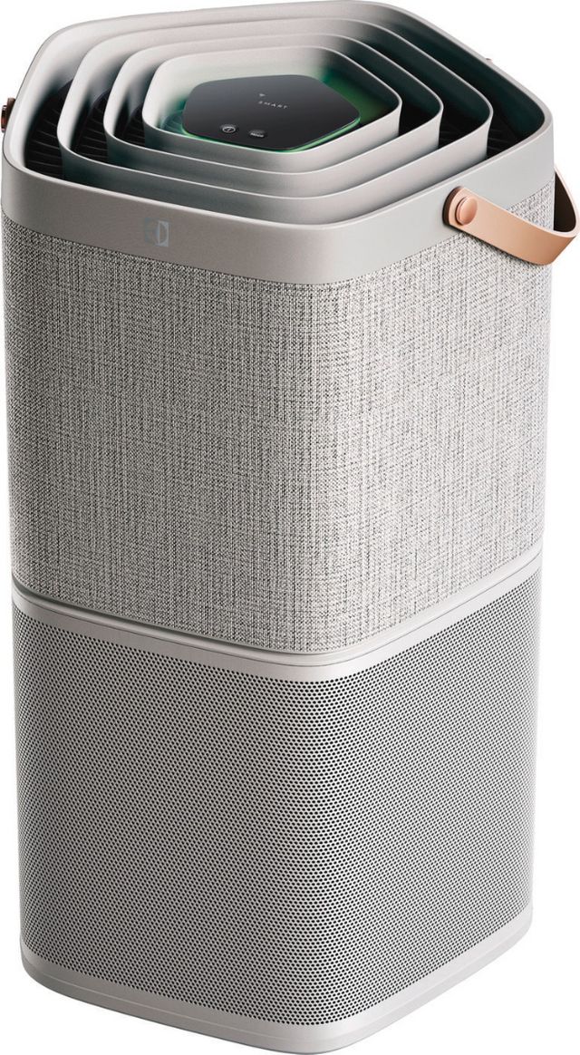 Electrolux Gray Air Purifier