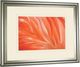 Classy Living Ortegam X Danza De La Pluna Wall Art-3