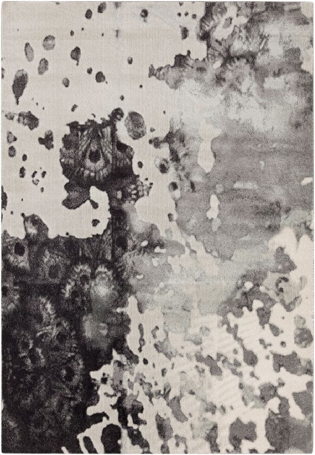 Surya Aberdine Gray 2'x3' Throw Rug-0