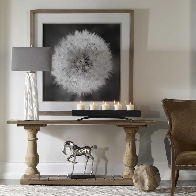 Uttermost® Majchrowicz Dandelion Seedhead Framed Print-1