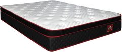 Springwall® True North Chiropractic® Frontenac 12.5" Wrapped Coil Plush Euro Top Queen Mattress