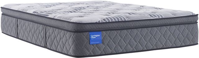Sealy® Carrington Chase Excellence Grace 14.5" Wrapped Coil Plush Euro Pillow Top Queen Mattress-0