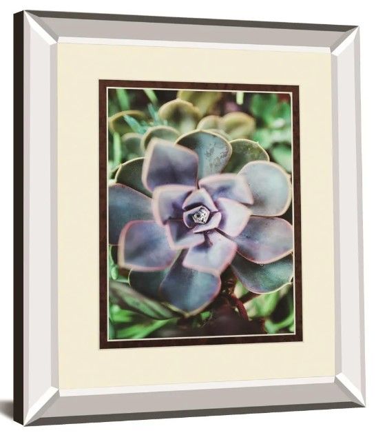Classy Art Succulence Beauty By Chelsea Kedron Mirror Framed Wall Art-0