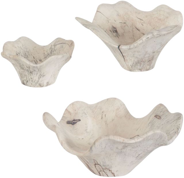 Uttermost® Teo 3-Piece Bleached Wall Decor Set-1