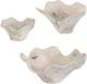 Uttermost® Teo 3-Piece Bleached Wall Decor Set-1