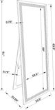 Coaster® Giddish Silver Full Length Standing Mirror-1