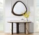 ACME Furniture Haidar Brown Accent Mirror-1