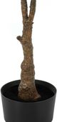 Monarch Specialties Inc. Green/Black 52" Tall Artificial Potted Rubber Tree-1