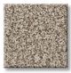 Shaw® Floors Pet Perfect Plus Renewed Energy II Sandstone Carpet-0