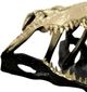 StyleCraft Dark Champagne Crocodile Sculpture -1