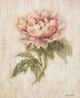 StyleCraft Light and Airy IV Wall Art-1
