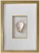 Crestview Collection Golden Oysters 3-Piece Wall Art Set-3