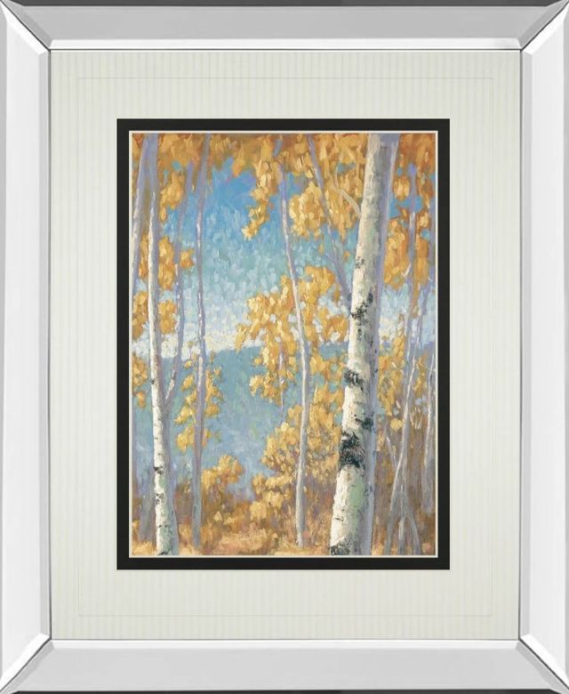 Classy Art Honey Birch Il by John Macnab Mirror Framed Wall Art-0