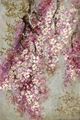 Classy Living Whispering Cherry Blossom Wall Art-0