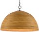 Currey & Company Plantsman Natural Pendant Lighting-0
