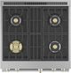 Monogram® Statement Collection 30" Stainless Steel Pro Style Dual Fuel Range with 4 Burners-3