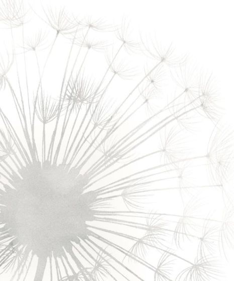 Classy Living Grace Popp Dandelion Whisper I Wall Art-1