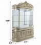 ACME Furniture Sorina Antique Gold Curio-2