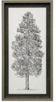 StyleCraft Pacific Northwest Tree Sketch II Gray Print Under Glass-0