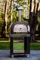 Fontana Forni Maestro 60 30" Stainless Steel Gas Pizza Oven -3