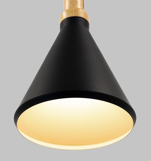 YHD Black 1-Light Pendant-1