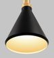 YHD Black 1-Light Pendant-1
