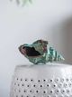 A & B Home Seafoam Green Decorative Seashell Accent-1