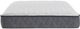 Sealy® Crown Jewel Inspirational Comfort Foam Tight Top Twin XL Mattress-1