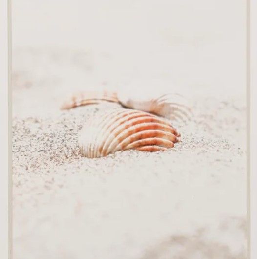 Stylecraft Beach Framed Print-1