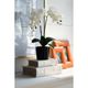 A & B Home 2-Piece Gold/White Book Box Set-4