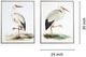 Classy Living 2-Piece Elegant Twin Storks Naturale Canvas Wall Art Set-2
