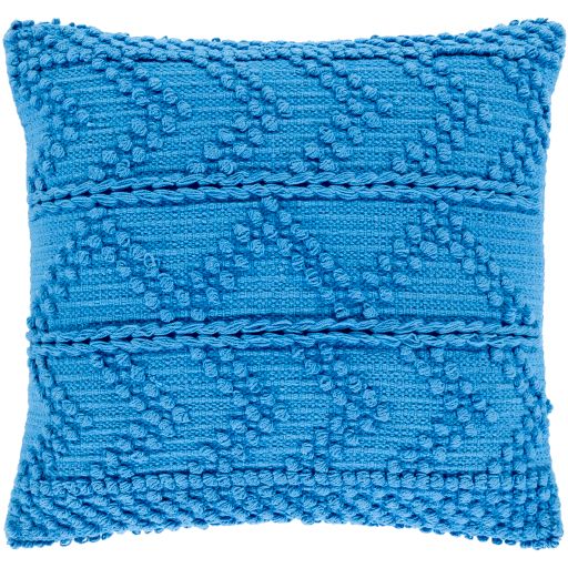 Surya Merdo Sky Blue 20"x20" Toss Pillow with Down Insert-0