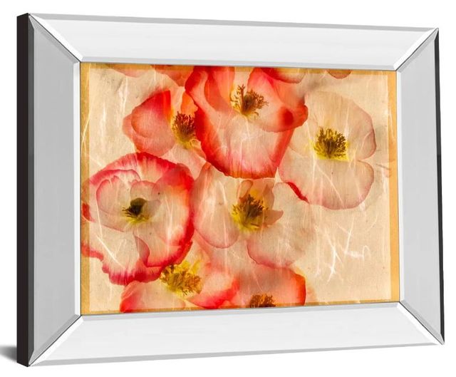 Classy Art Papaver Dreams III by Harold Davis Mirror Framed Wall Art-1