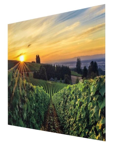 YHD Wine Country Wall Art-1
