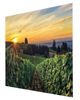YHD Wine Country Wall Art-1