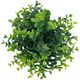 A & B Home Greenery with Pot-2