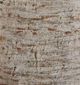 Signature Design by Ashley® Wellbridge Distressed White Vase-4