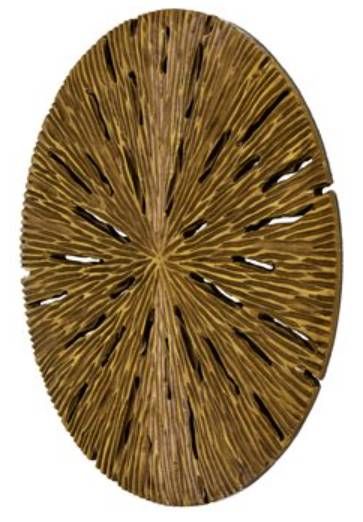 YHD Naturally Round Wall Art-1