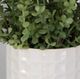 Uttermost® Edgewood 2-Piece Green/White Greenery Set-3