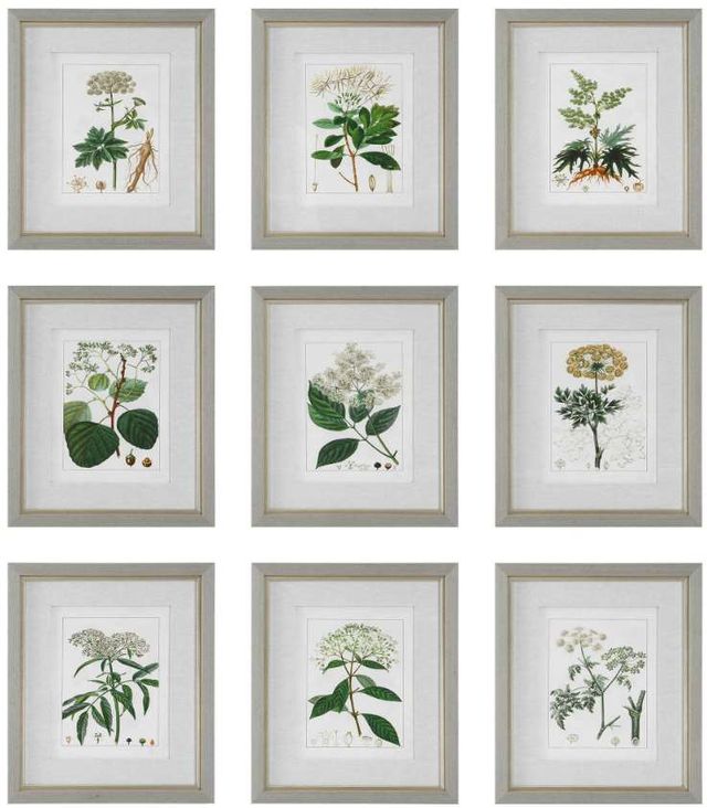 Uttermost® Antique 9-Piece Green/Light Gray/White/Yellow Framed Print Set