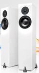 Totem Acoustics High-Fidelity Floor Standing Speaker-5