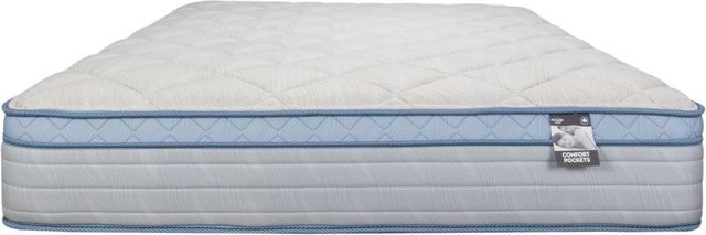 Springwall® Comfort Pockets® Dover 12" Wrapped Coil Medium Plush Euro Top Twin Mattress in a Box-2
