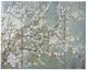 A & B Home 4-Piece Blue/Brown/White Cherry Blossom Canvas Print Set-1