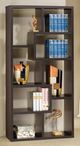 Coaster® Theo Cappuccino 10-Shelf Bookcase-1