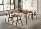 Furniture of America® Ebikon 5-Piece Walnut Dining Table Set-0