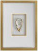 Crestview Collection Golden Oysters 3-Piece Wall Art Set-1