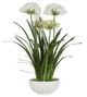 Uttermost® Purity Agapanthus Green/White Centerpiece-0